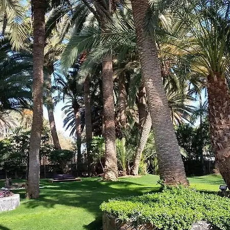 Eden Meloneras By Tam Maspalomas (Gran Canaria)