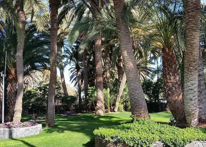 Eden Meloneras By Tam Maspalomas (Gran Canaria)