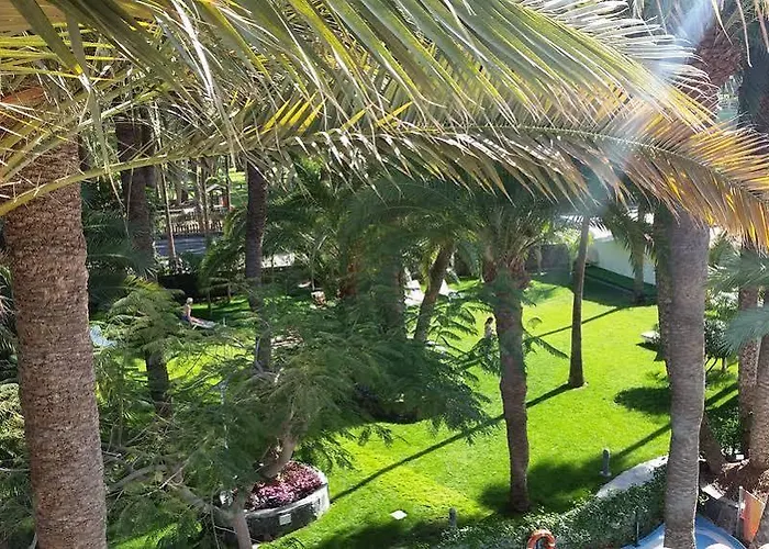 Eden Meloneras By Tam